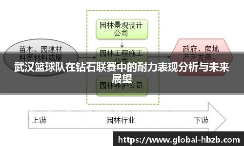 武汉篮球队在钻石联赛中的耐力表现分析与未来展望